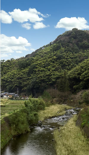 水のこだわり